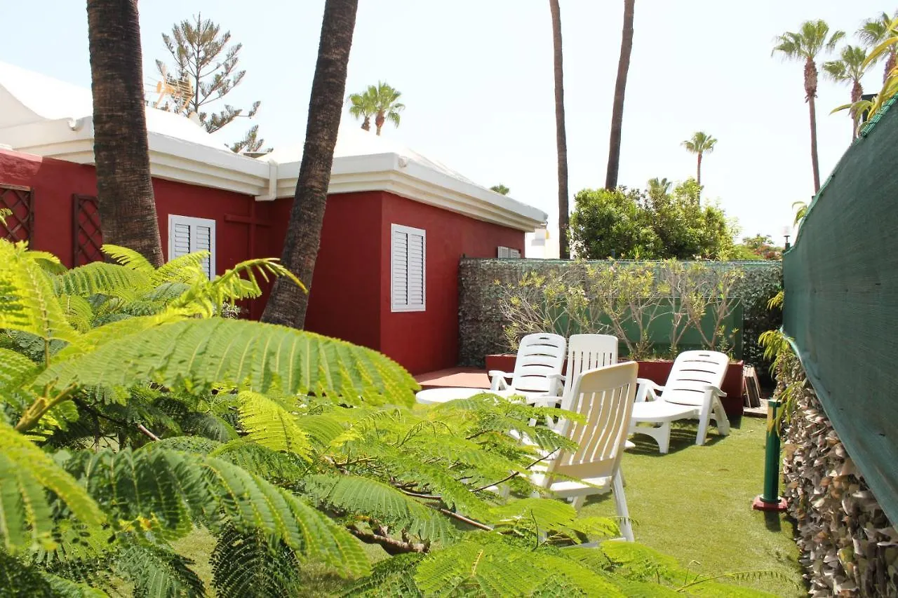 Albaricoques Vivac Bungalow San Bartolomé