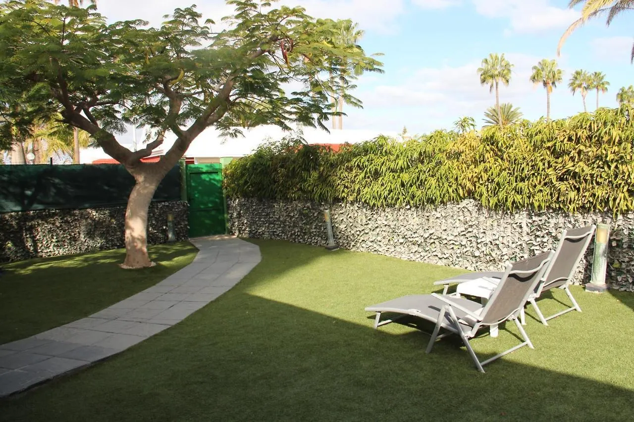 Albaricoques Vivac Bungalow San Bartolomé Spagna