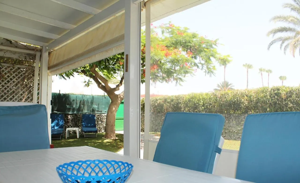 Albaricoques Vivac Bungalow San Bartolomé