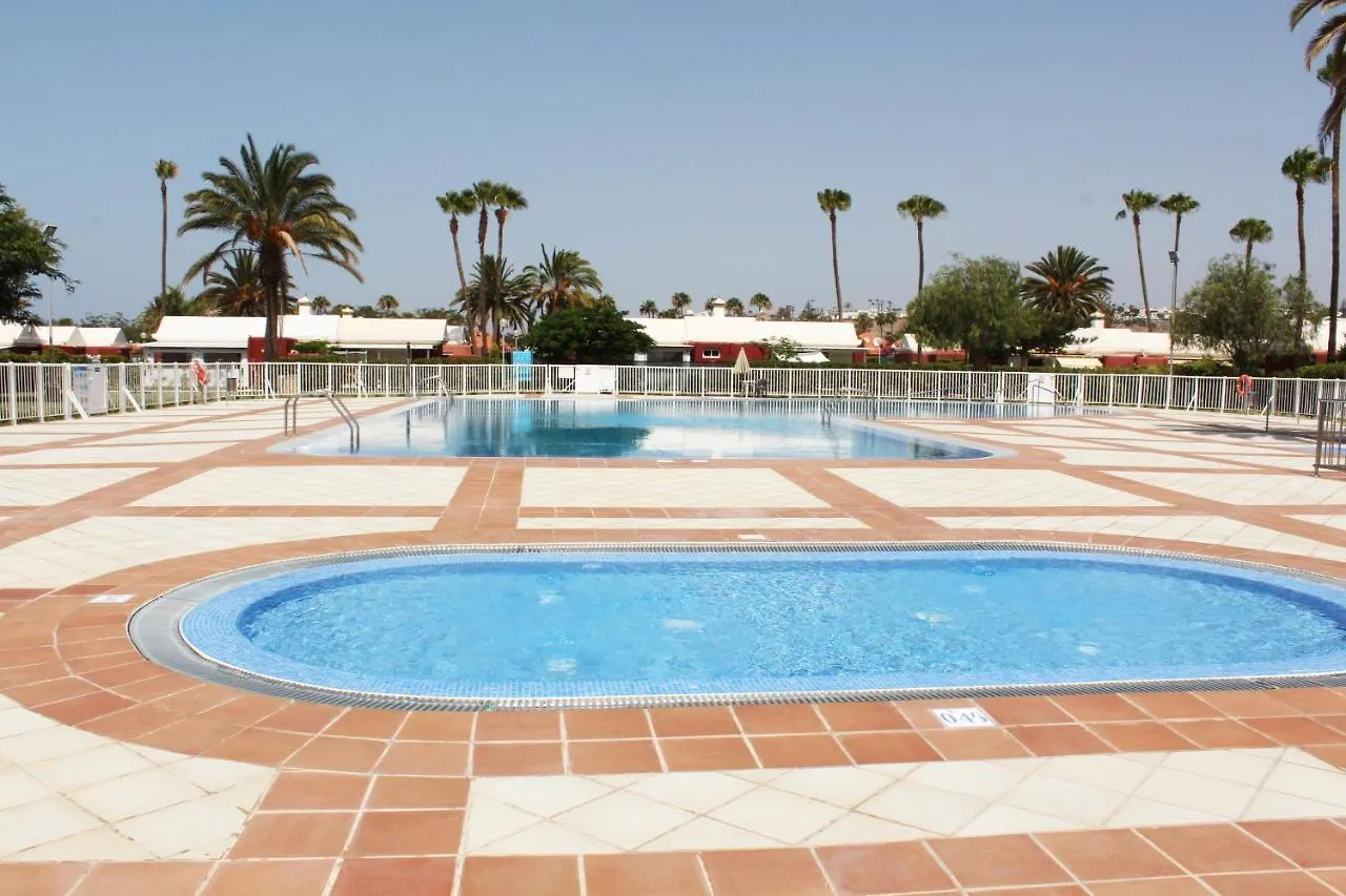 Albaricoques Vivac Bungalow San Bartolomé