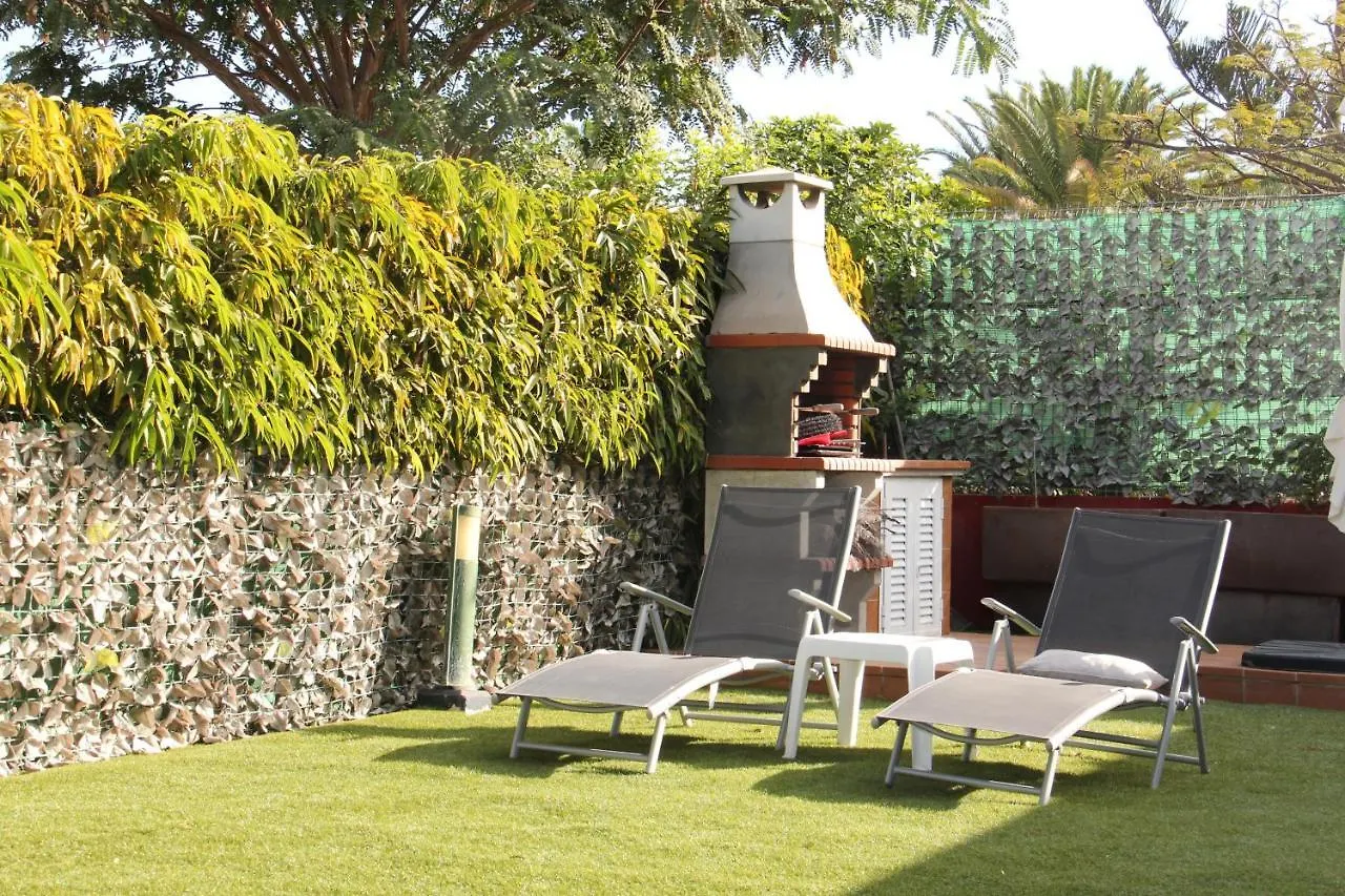 Albaricoques Vivac Bungalow San Bartolomé