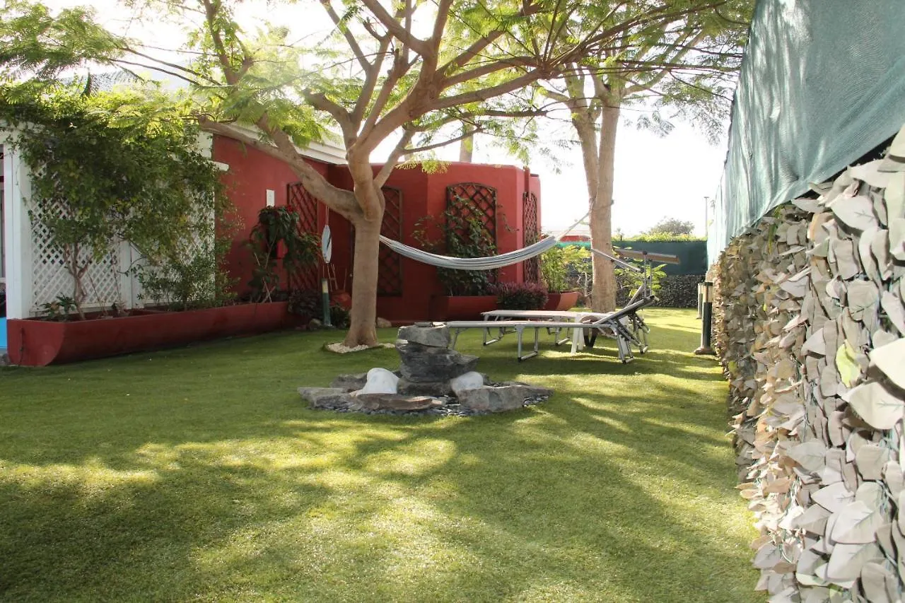 Albaricoques Vivac Bungalow San Bartolomé
