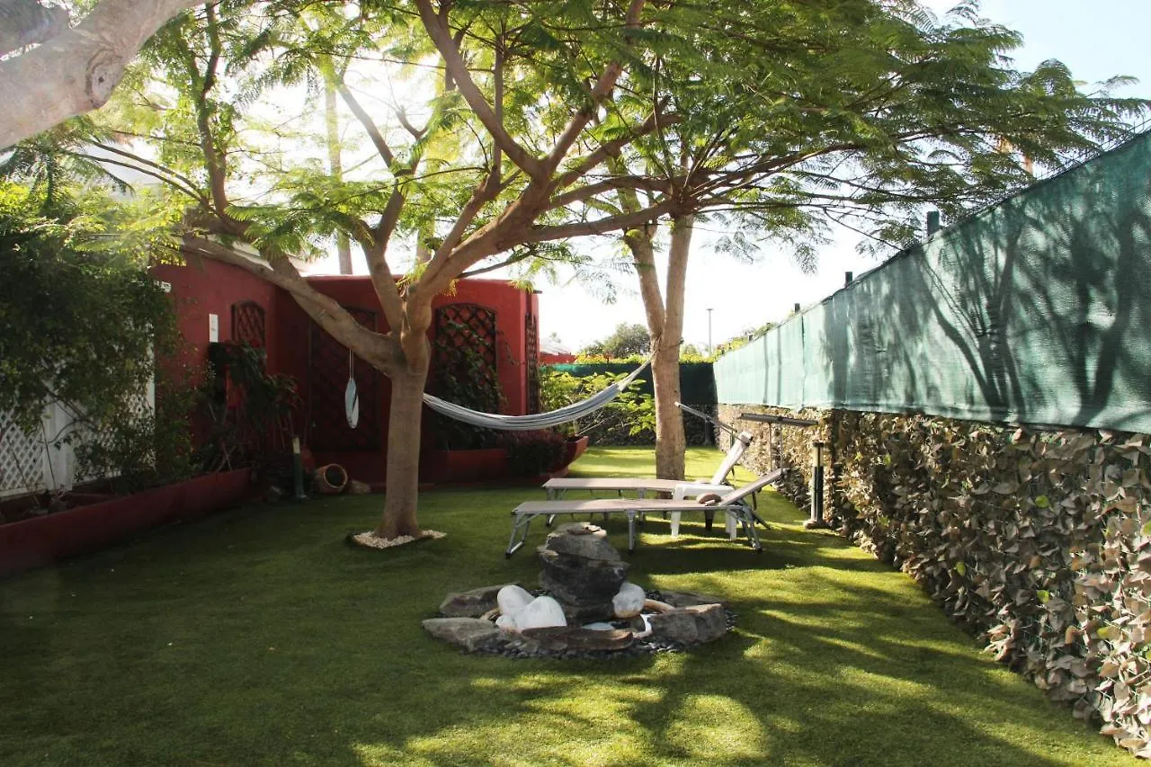 Albaricoques Vivac Bungalow San Bartolomé